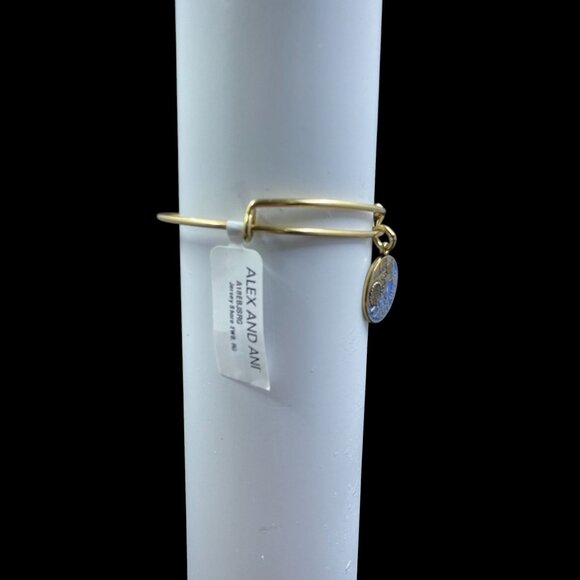 Alex And Ani Jersey Shore Bangle Bracelet Beach Coastal Nautical Summer NWT - Picture 6 of 10